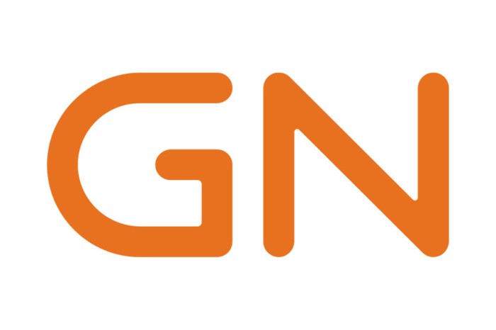 GN Resound Staniford Associates